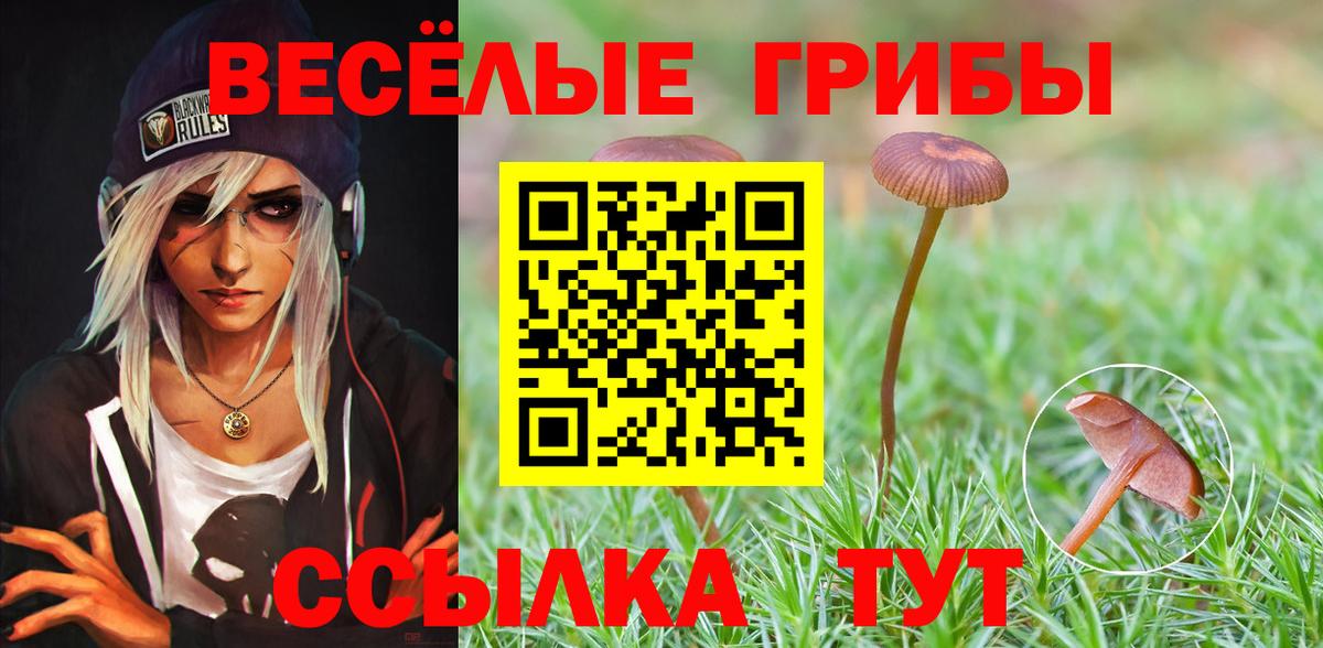 Губкинский  Псилоцибиновые грибы Psilocybe  Вход с VPN 
