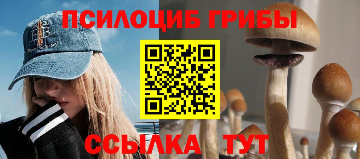 Галлюциногенные грибы ЛСД Губкинский