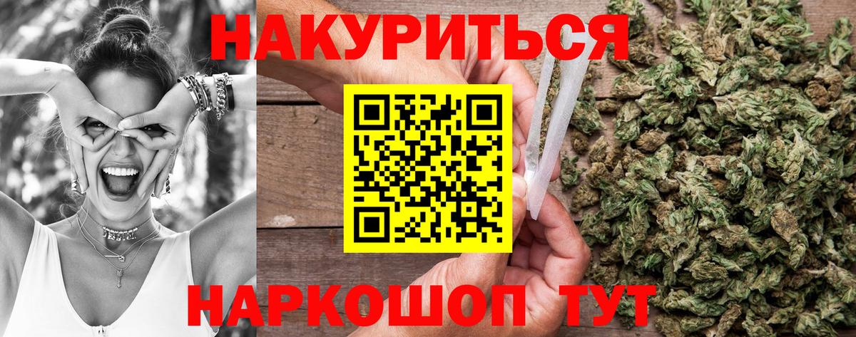 Бошки Шишки планчик Губкинский